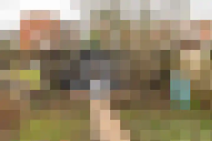Verlengde Willemstraat 14 Groningen thumbnail 28
