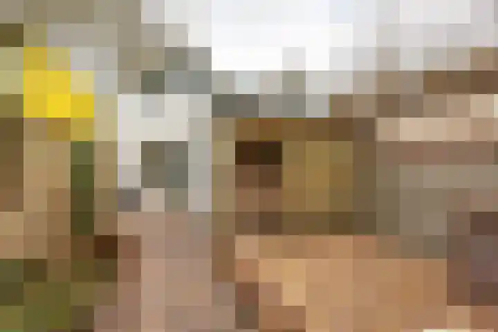 Verlengde Willemstraat 14 Groningen thumbnail 30