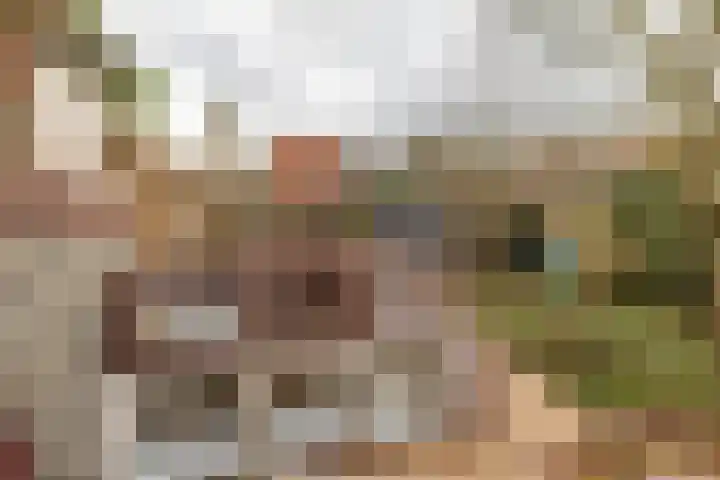 Verlengde Willemstraat 14 Groningen thumbnail 32