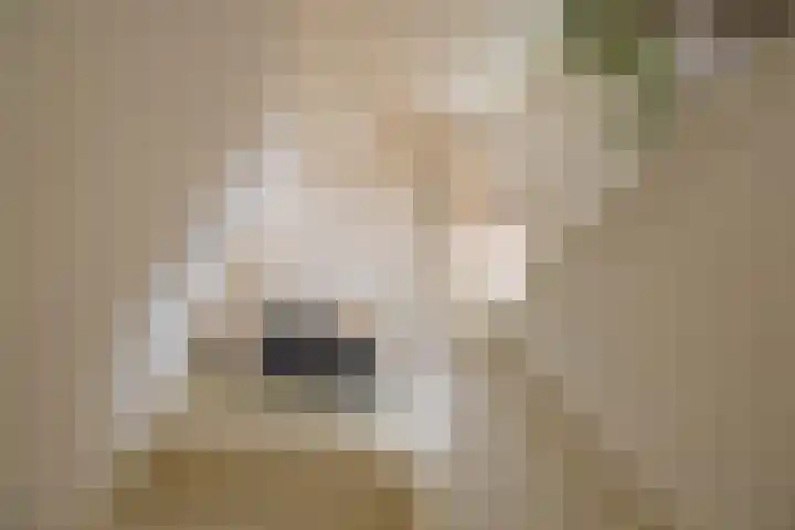 Verlengde Willemstraat 14 Groningen thumbnail 34