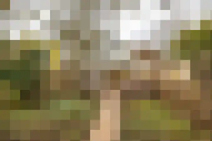 Verlengde Willemstraat 14 Groningen thumbnail 4