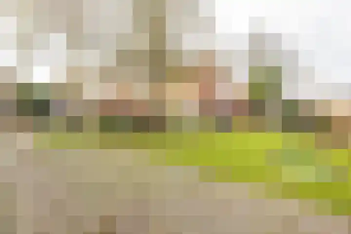 Verlengde Willemstraat 14 Groningen thumbnail 42