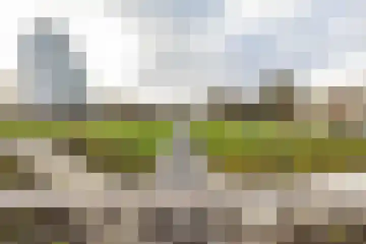 Verlengde Willemstraat 14 Groningen thumbnail 43
