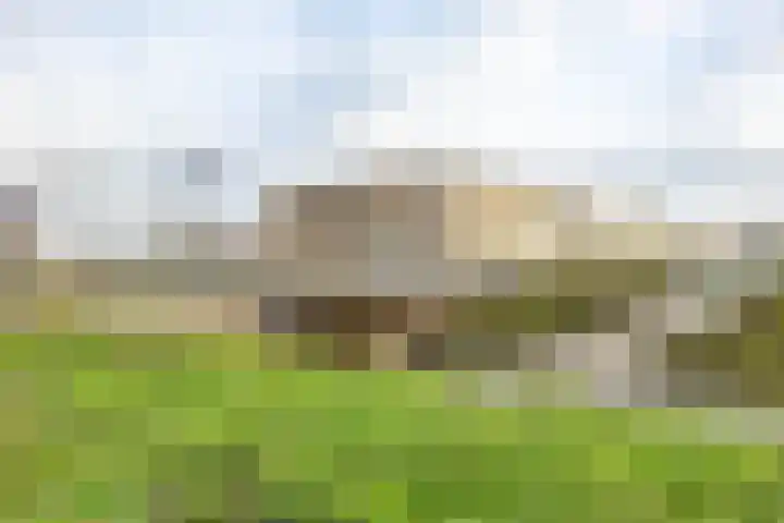 Verlengde Willemstraat 14 Groningen thumbnail 44
