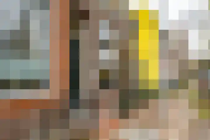 Verlengde Willemstraat 14 Groningen thumbnail 6