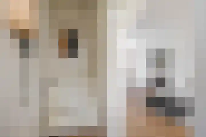 Verlengde Willemstraat 14 Groningen thumbnail 8