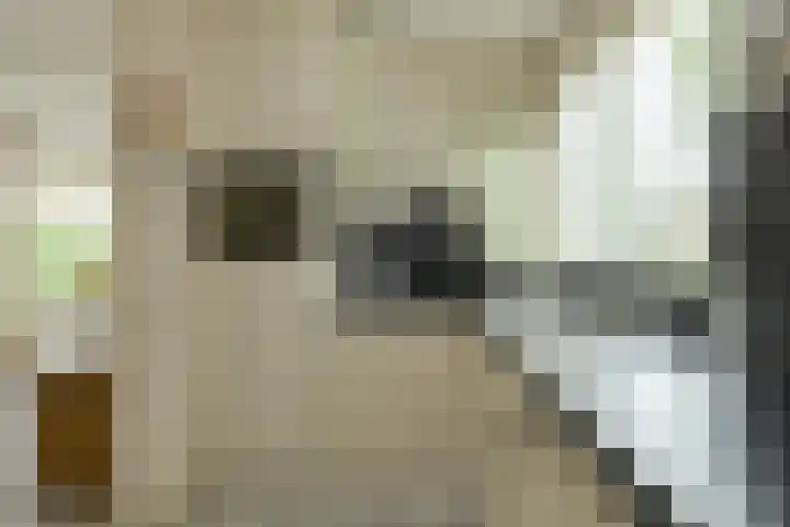 Verlengde Witmoeren 7 Breda thumbnail 11