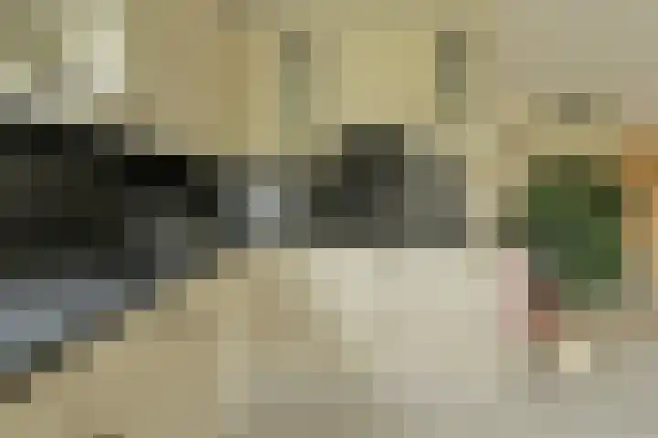 Verlengde Witmoeren 7 Breda thumbnail 12