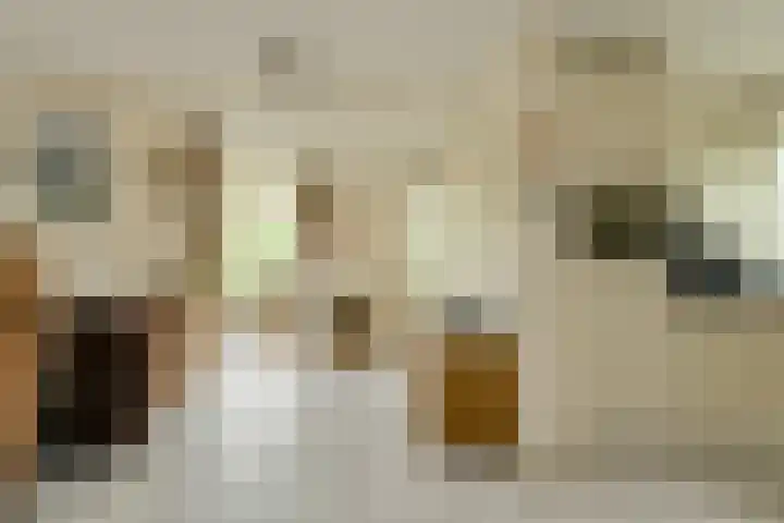 Verlengde Witmoeren 7 Breda thumbnail 14