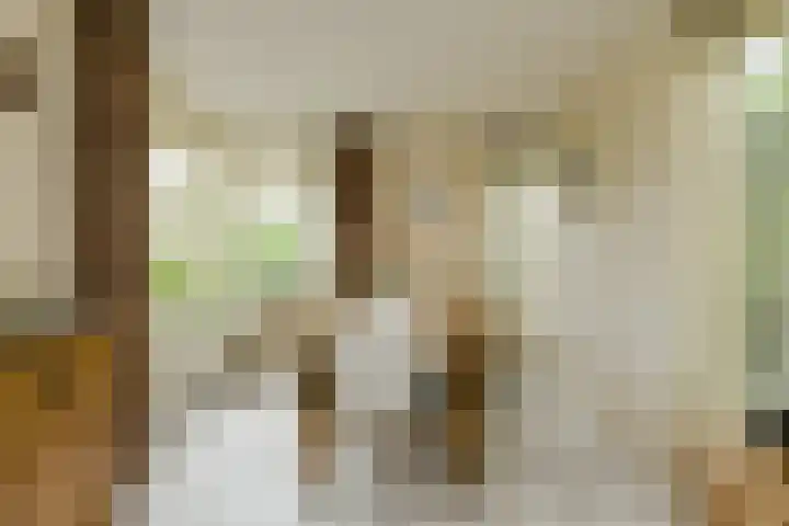 Verlengde Witmoeren 7 Breda thumbnail 15