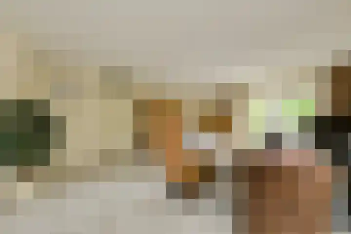 Verlengde Witmoeren 7 Breda thumbnail 16