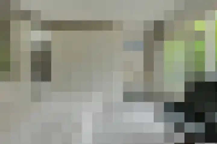 Verlengde Witmoeren 7 Breda thumbnail 17
