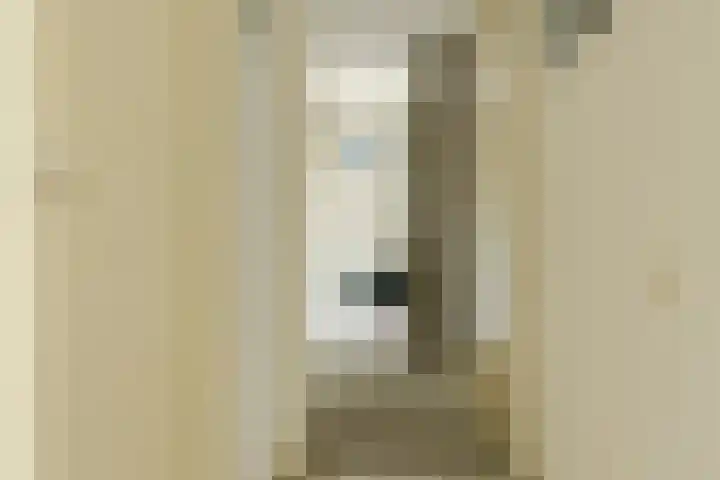 Verlengde Witmoeren 7 Breda thumbnail 24
