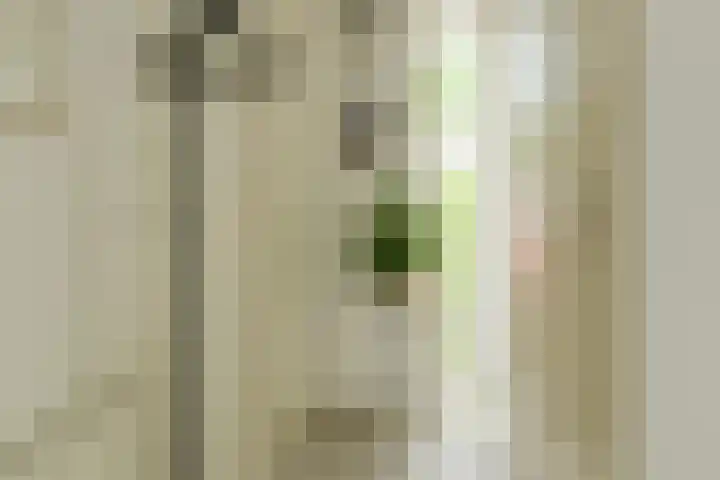 Verlengde Witmoeren 7 Breda thumbnail 25