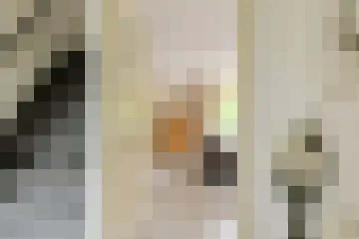 Verlengde Witmoeren 7 Breda thumbnail 29