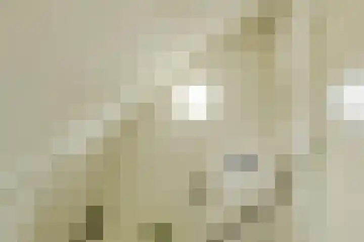 Verlengde Witmoeren 7 Breda thumbnail 30