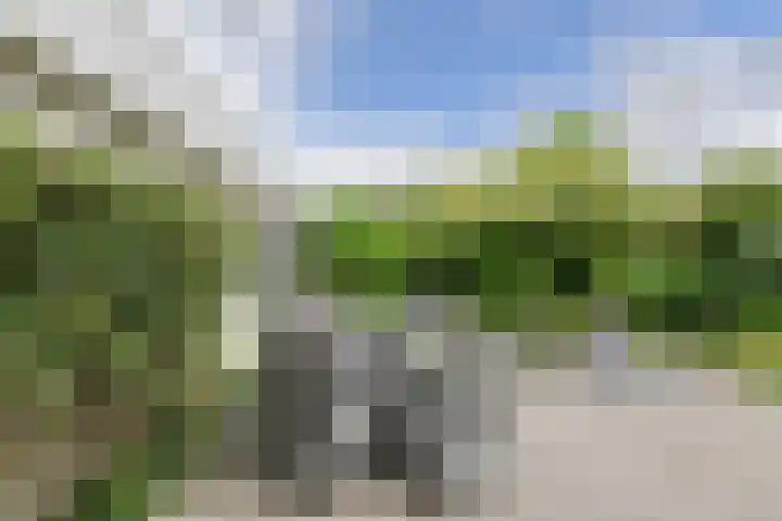 Verlengde Witmoeren 7 Breda thumbnail 38