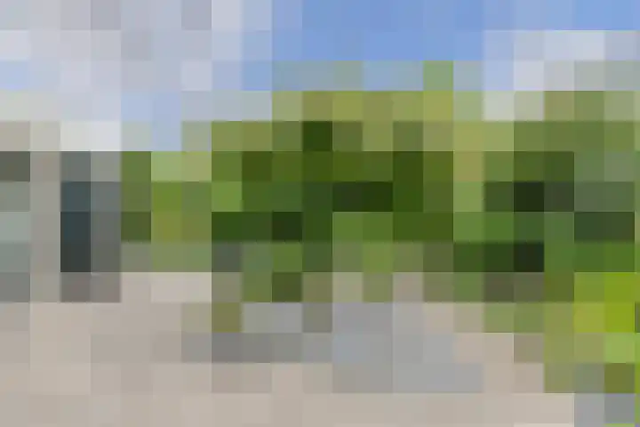 Verlengde Witmoeren 7 Breda thumbnail 39