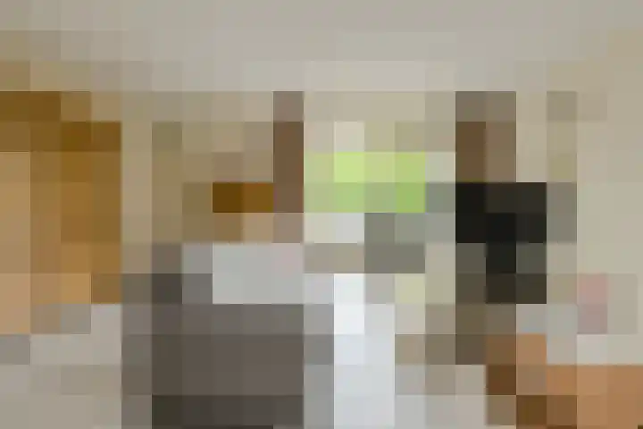 Verlengde Witmoeren 7 Breda thumbnail 4