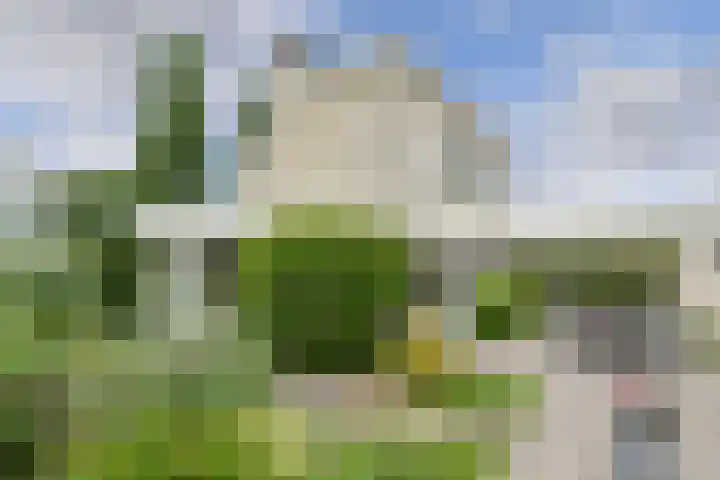 Verlengde Witmoeren 7 Breda thumbnail 41