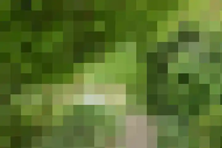 Verlengde Witmoeren 7 Breda thumbnail 42