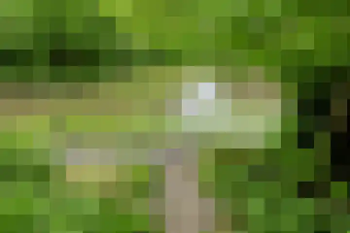 Verlengde Witmoeren 7 Breda thumbnail 43