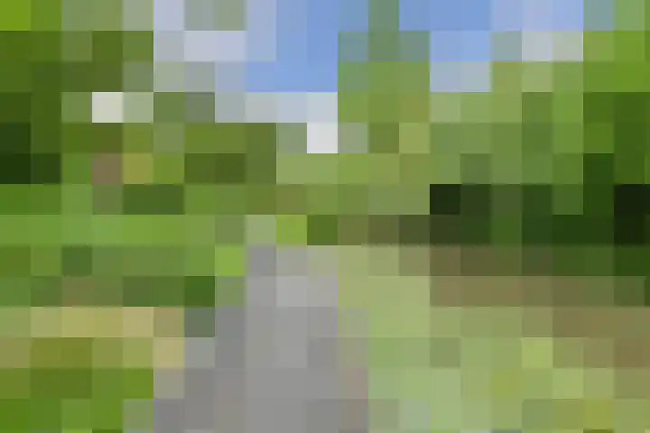 Verlengde Witmoeren 7 Breda thumbnail 44