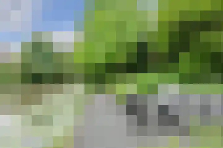 Verlengde Witmoeren 7 Breda thumbnail 45