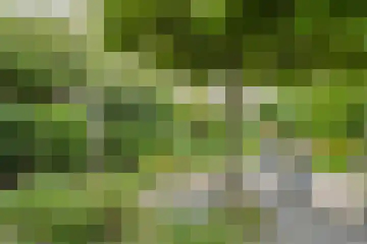 Verlengde Witmoeren 7 Breda thumbnail 47