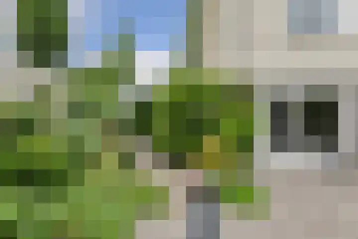 Verlengde Witmoeren 7 Breda thumbnail 48