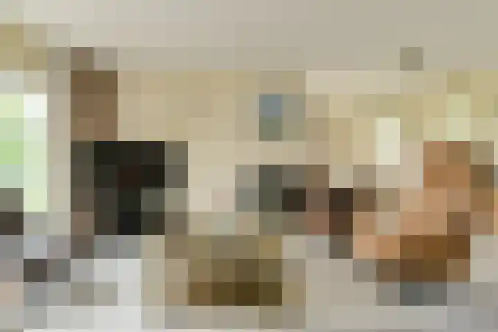 Verlengde Witmoeren 7 Breda thumbnail 5