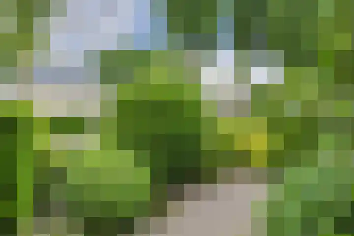 Verlengde Witmoeren 7 Breda thumbnail 50