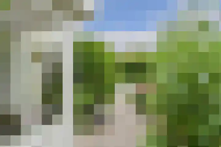 Verlengde Witmoeren 7 Breda thumbnail 51
