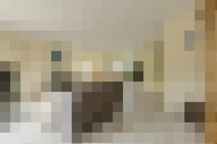 Verlengde Witmoeren 7 Breda thumbnail 8