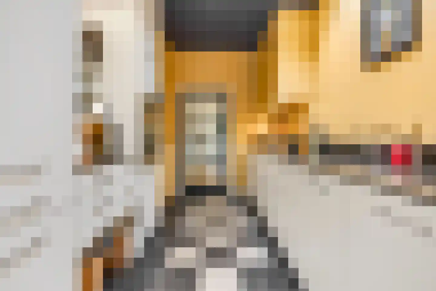 Verlooplaan 10 Barneveld thumbnail 19