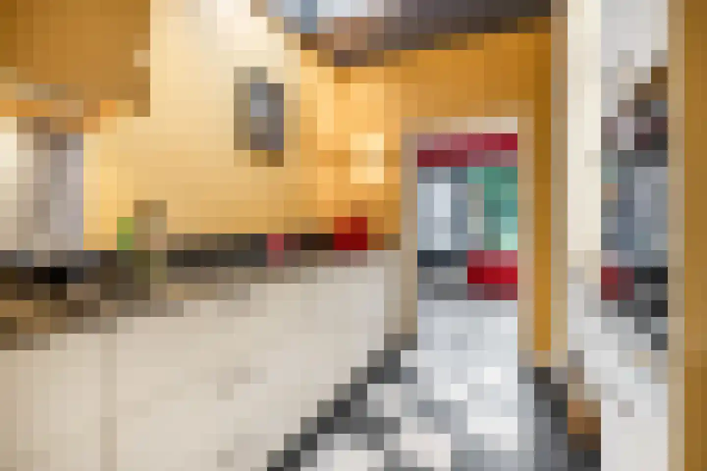 Verlooplaan 10 Barneveld thumbnail 21