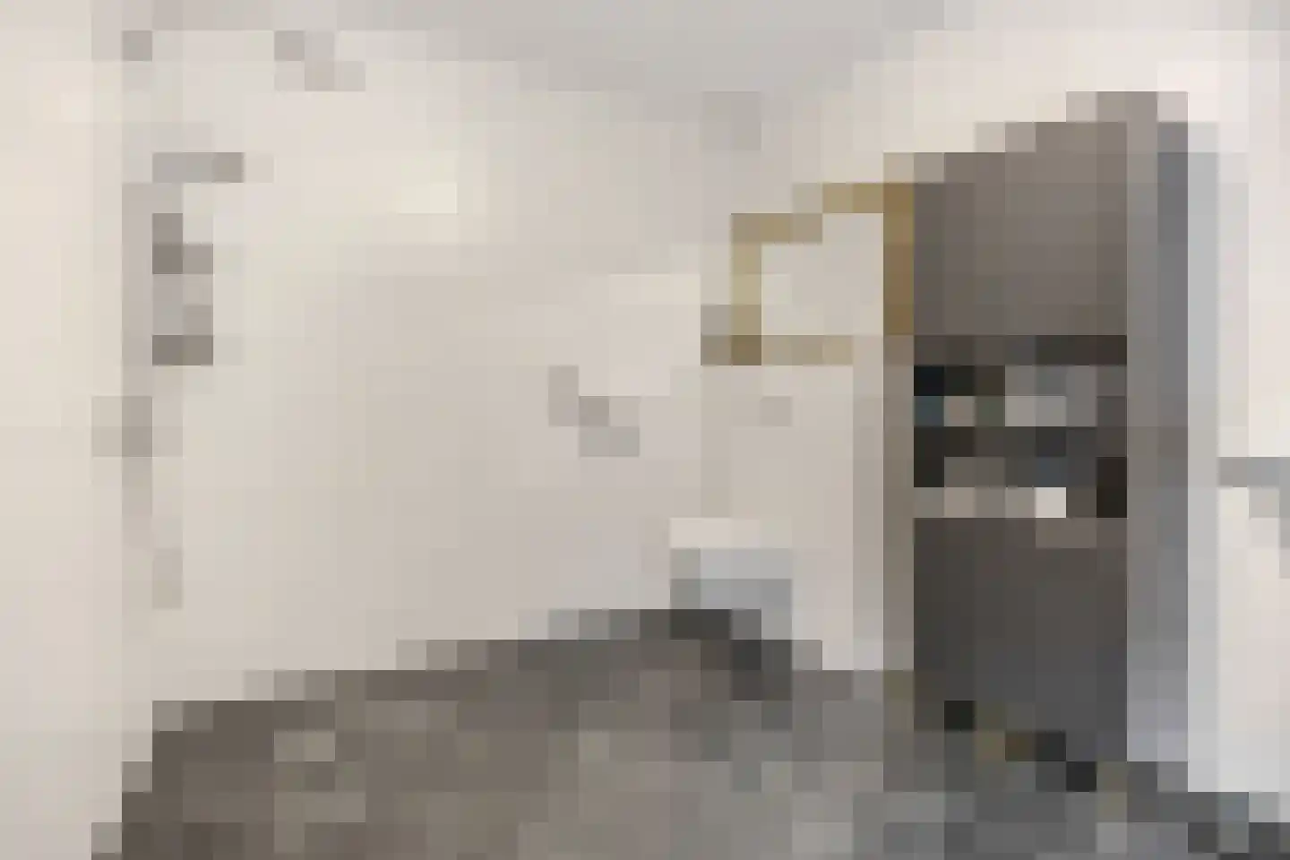 Verlooplaan 10 Barneveld thumbnail 29