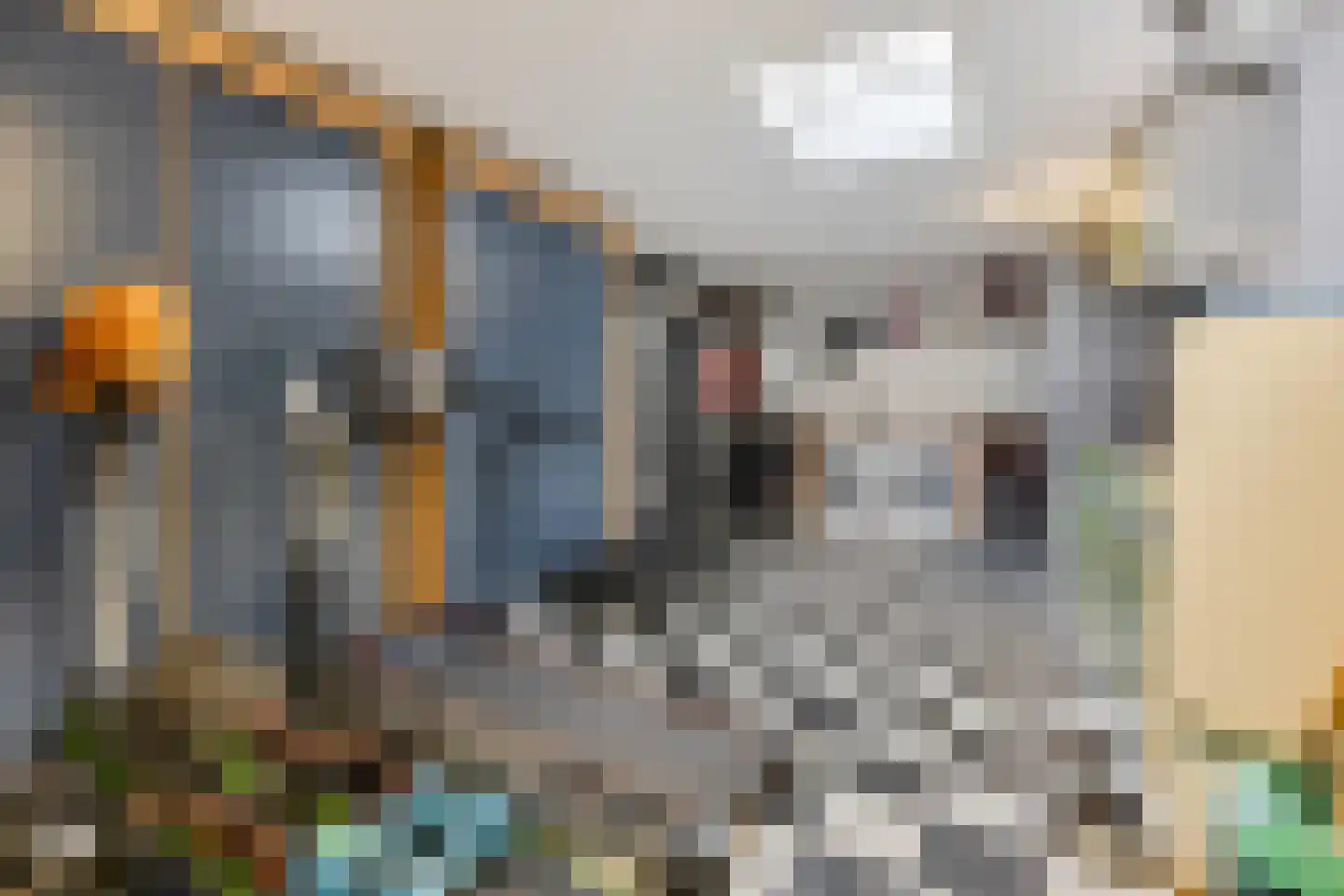 Verlooplaan 10 Barneveld thumbnail 31