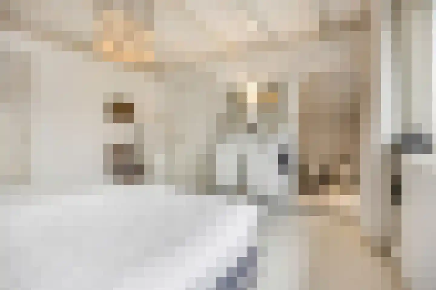 Verlooplaan 10 Barneveld thumbnail 36