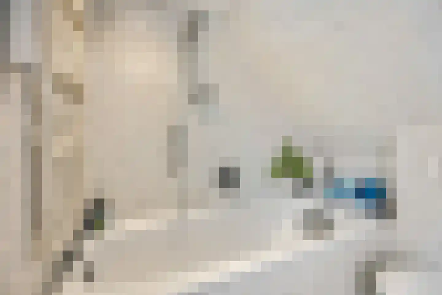 Verlooplaan 10 Barneveld thumbnail 39