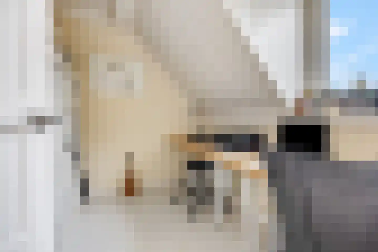 Verlooplaan 10 Barneveld thumbnail 44