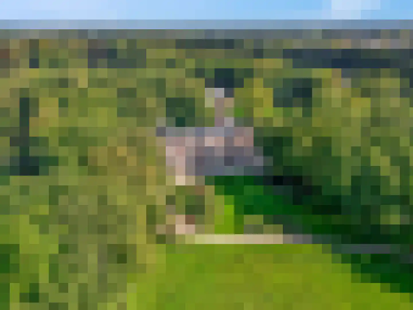 Verlooplaan 10 Barneveld thumbnail 61