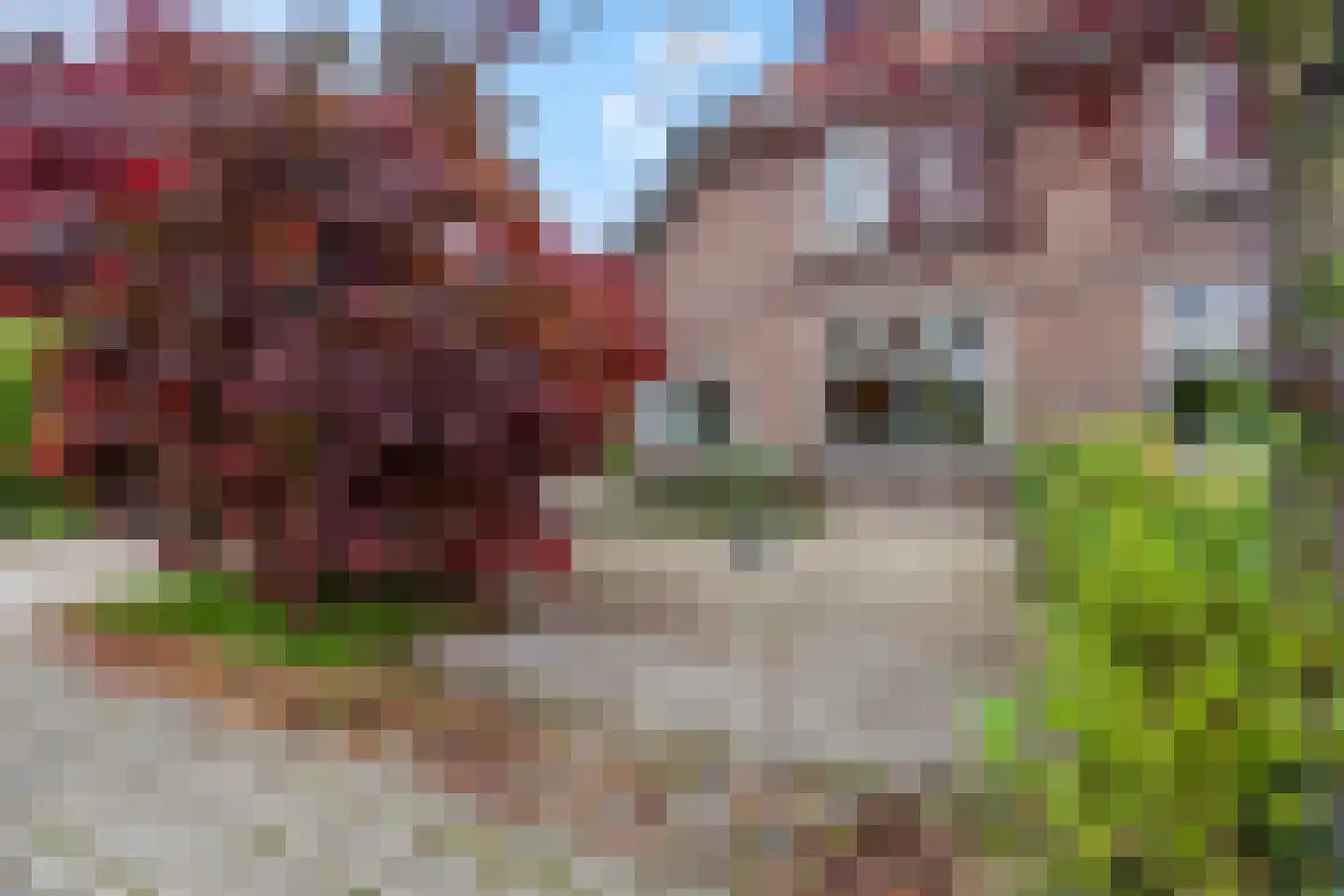 Verlooplaan 10 Barneveld thumbnail 8