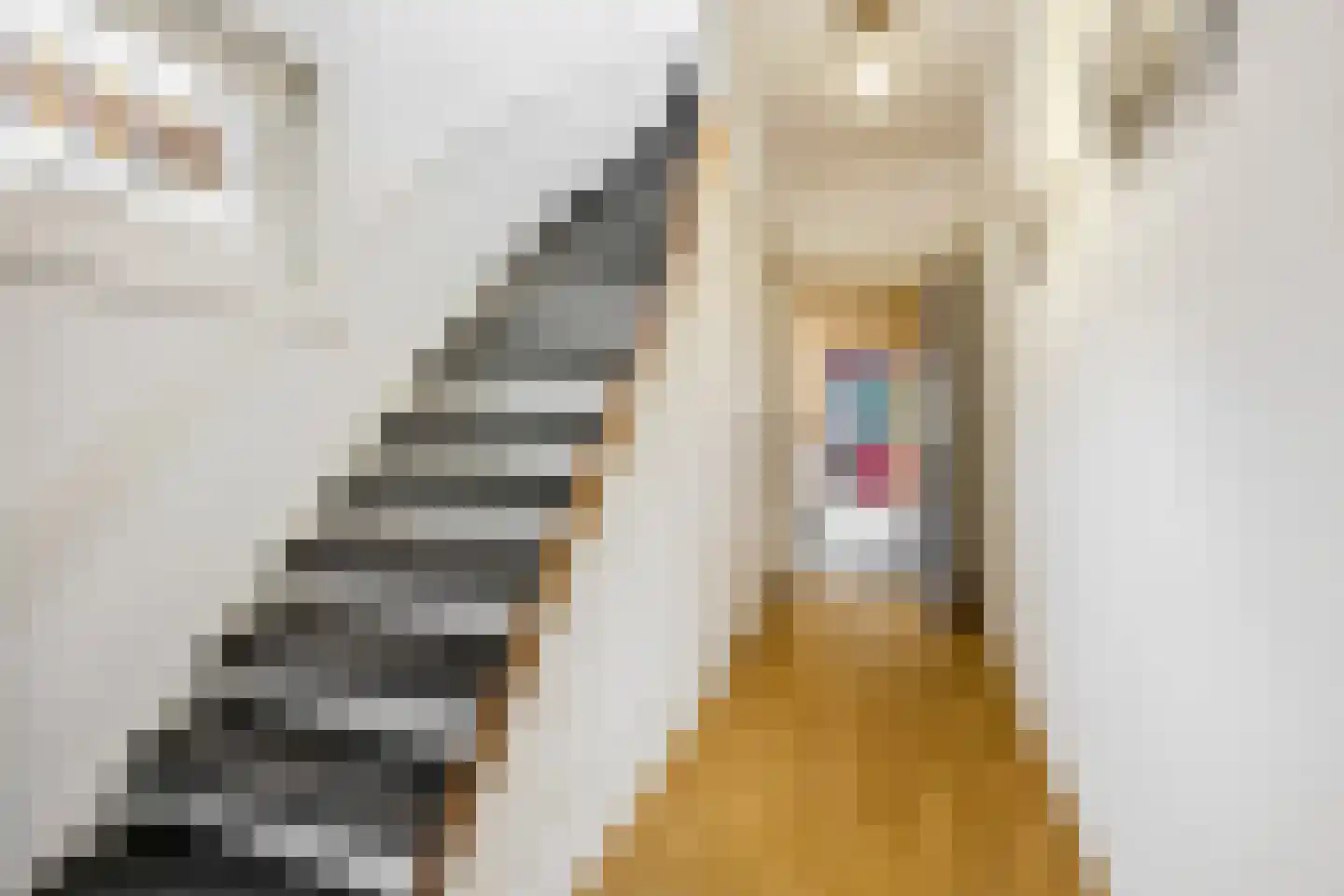 Verlooplaan 10 Barneveld thumbnail 9
