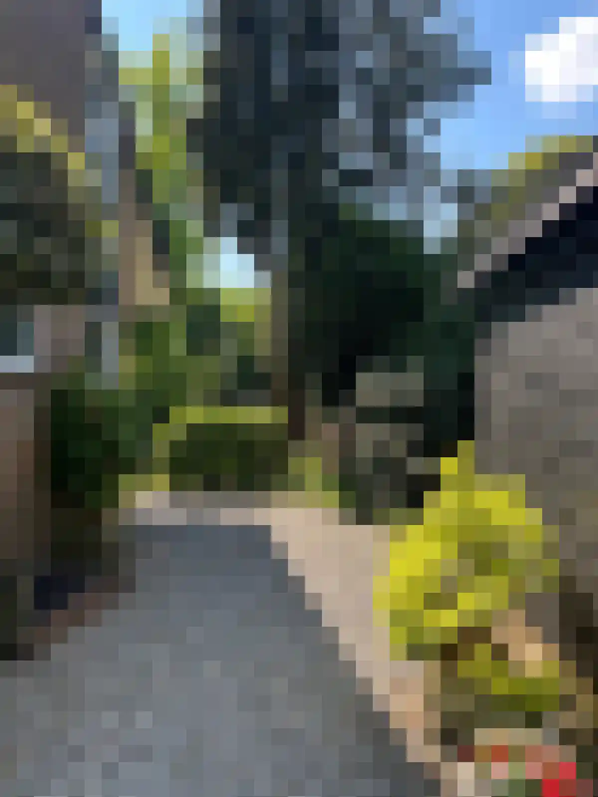 Verloren Engh 3 Blaricum foto 2