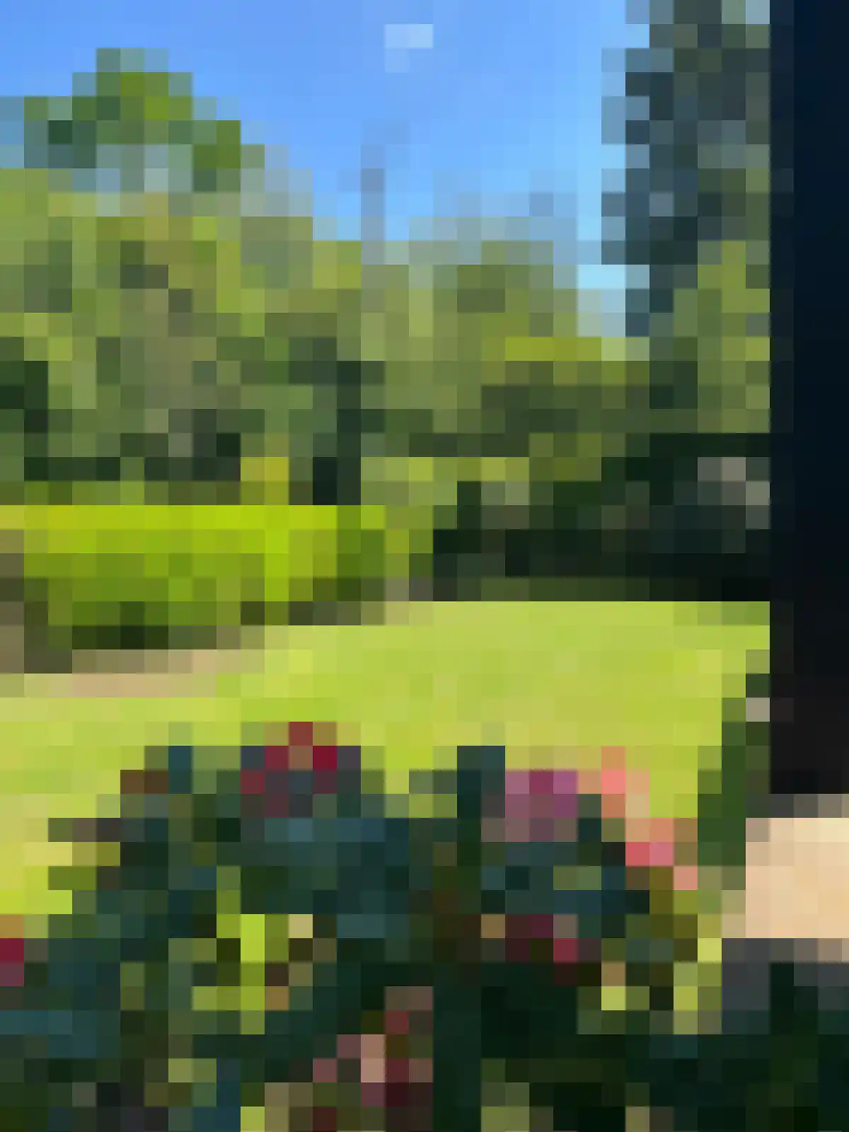 Verloren Engh 3 Blaricum thumbnail 4