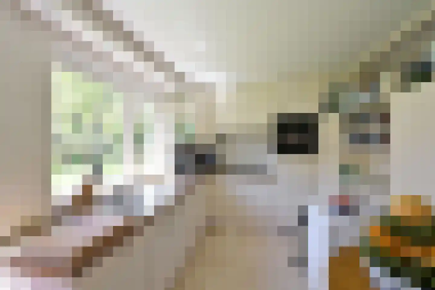 Verloren Engh 5 Blaricum thumbnail 10