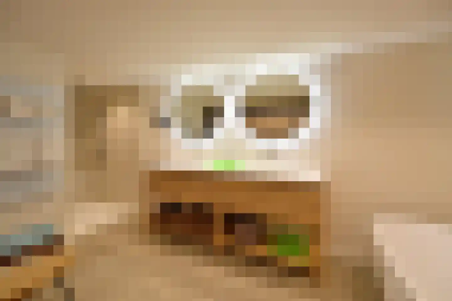 Verloren Engh 5 Blaricum thumbnail 15