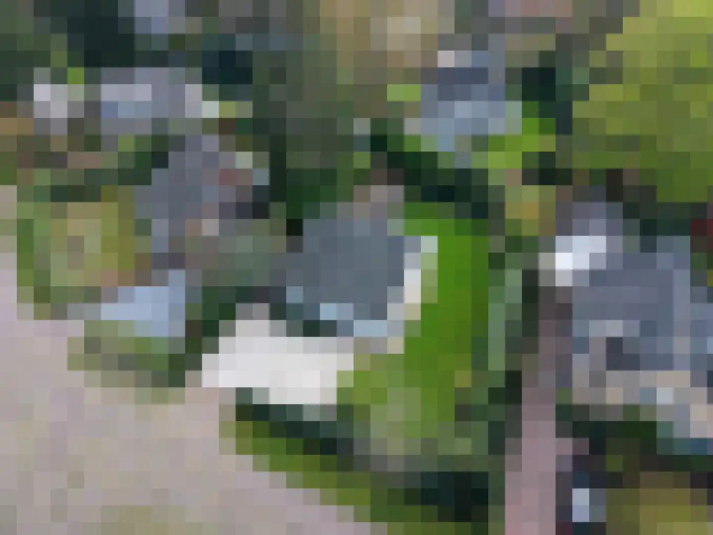 Verloren Engh 5 Blaricum thumbnail 27