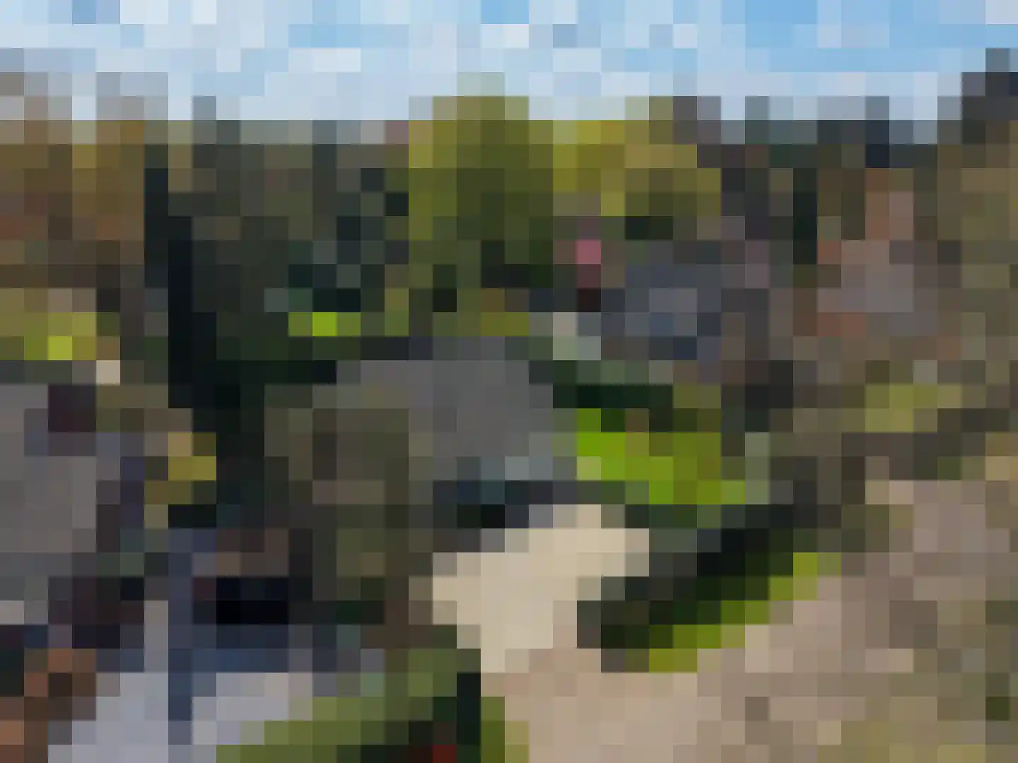 Verloren Engh 5 Blaricum thumbnail 28